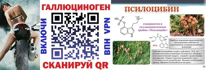 Галлюциногенные грибы Psilocybe  Отрадный 